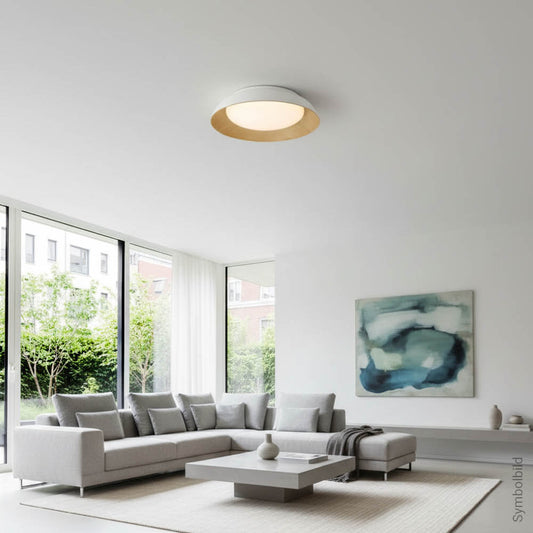 LED-kattovalaisin 24W Valkoinen/Puu CCT